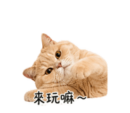 840418548