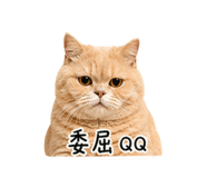 840418550