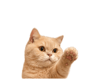 840418567