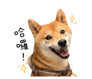 840418657