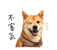 840418666
