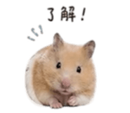 840419015