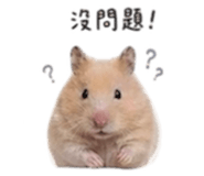 840419016