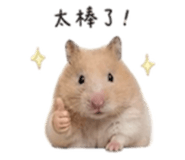 840419017