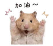 840419018