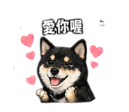840419202
