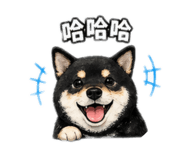 840419208