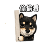 840419209