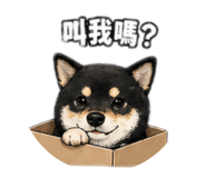 840419213