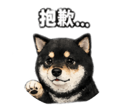 840419215