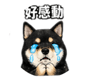 840419216