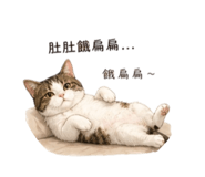 840419357