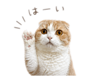 840420835
