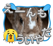 840420859