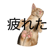 840420998