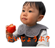 840421231
