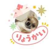 840421317