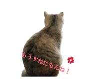 840421538