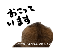 840421539