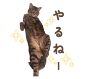 840421903