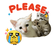 840422037