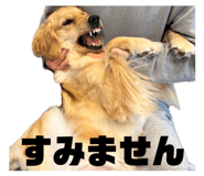 840422228
