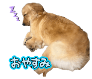 840422231
