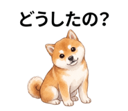 840423323