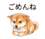 840423336