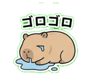 840423707