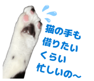 840423723
