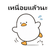 840423804