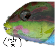 840424454