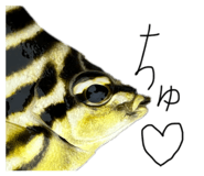 840424455