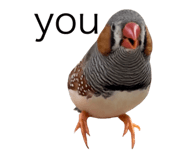 840424508