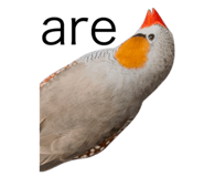 840424509