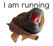 840424516