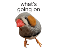 840424522