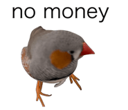840424524