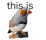 840424532