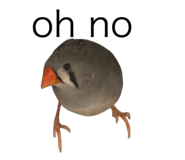 840424536