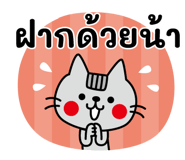 840425565