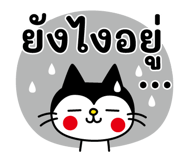 840425578