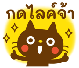 ลายที่ 13