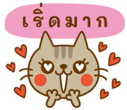 ลายที่ 14
