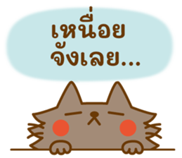 ลายที่ 26