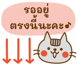 ลายที่ 30