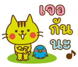 ลายที่ 40