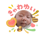 840426017