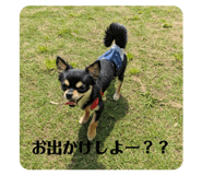 840426626